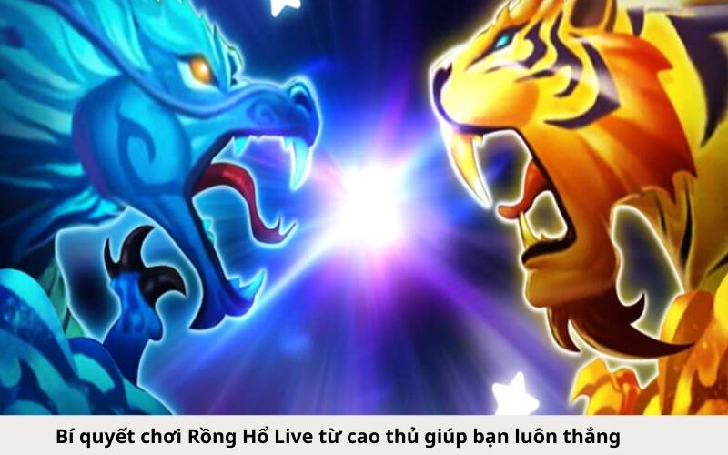 Bí quyết chơi Rồng Hổ Live từ cao thủ giúp bạn luôn thắng