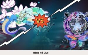 Rồng Hổ Live