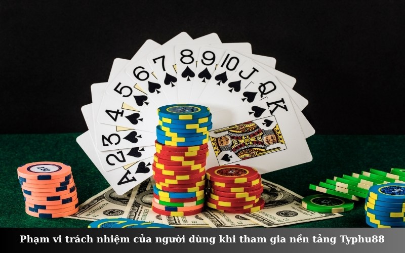 Phạm vi trách nhiệm của người dùng khi tham gia nền tảng Typhu88