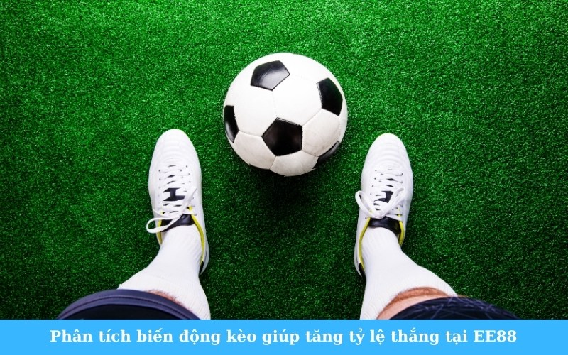 Phân tích biến động kèo giúp tăng tỷ lệ thắng tại EE88